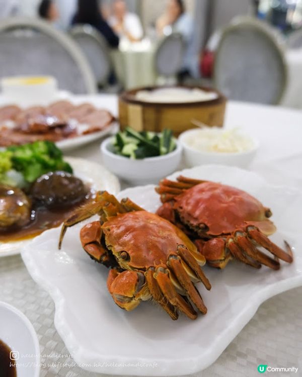 【吃下九龍灣】想吃大閘蟹?隨便吃隨便點! - 陶源酒家