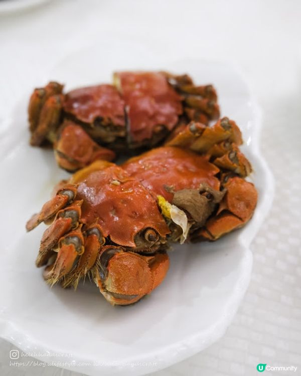 【吃下九龍灣】想吃大閘蟹?隨便吃隨便點! - 陶源酒家