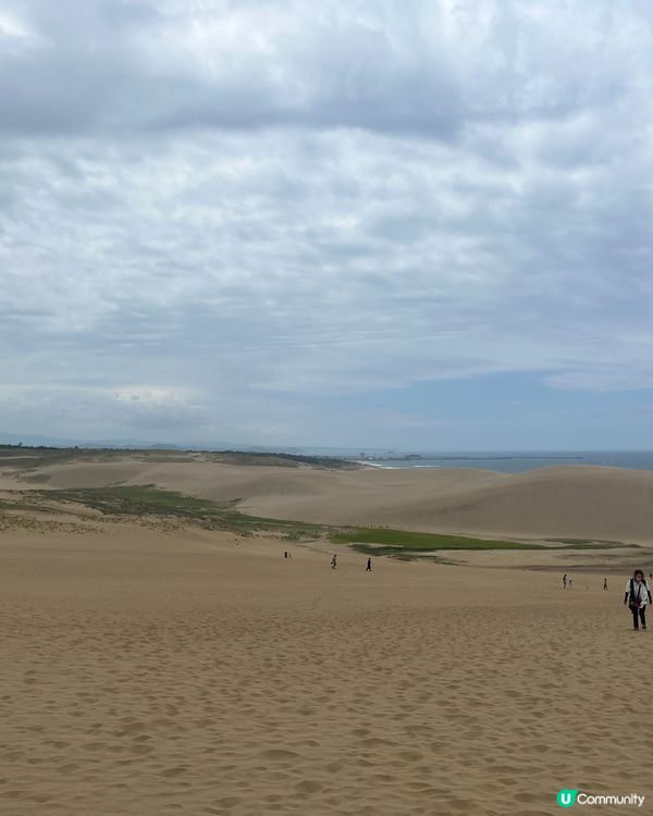 鳥取沙丘打卡📸
