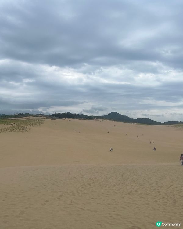 鳥取沙丘打卡📸