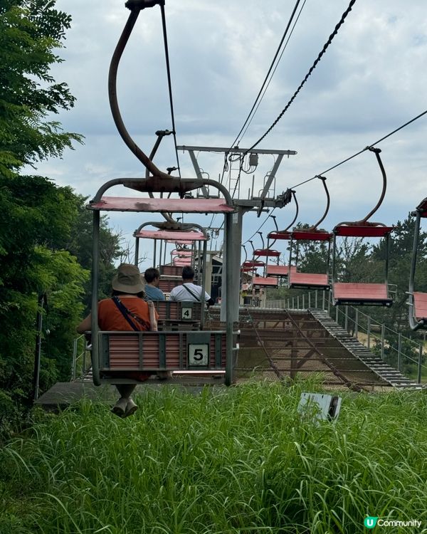 鳥取沙丘打卡📸