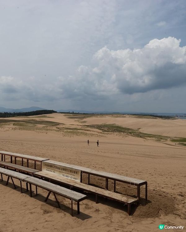 鳥取沙丘打卡📸