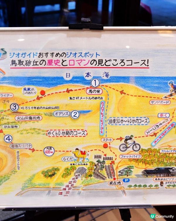 鳥取沙丘打卡📸