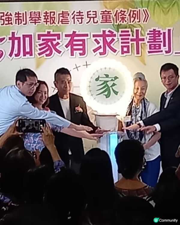 虐兒條例 -廿五加家有求計劃