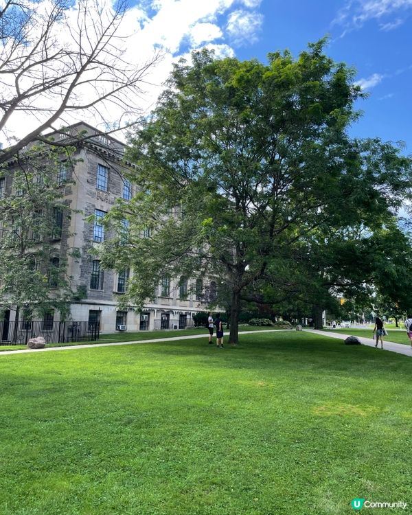 夏天嘅多倫多好漂亮！偶遇活潑嘅小松鼠🐿️