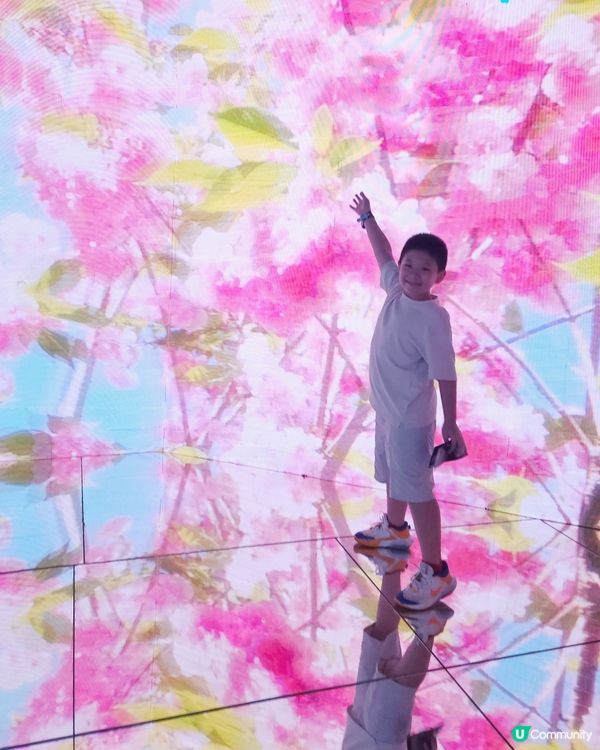 夏日之回憶📸 夢幻煙花光澤 打卡聖地！