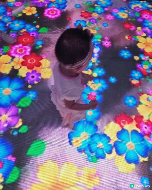 夏日之回憶📸 夢幻煙花光澤 打卡聖地！