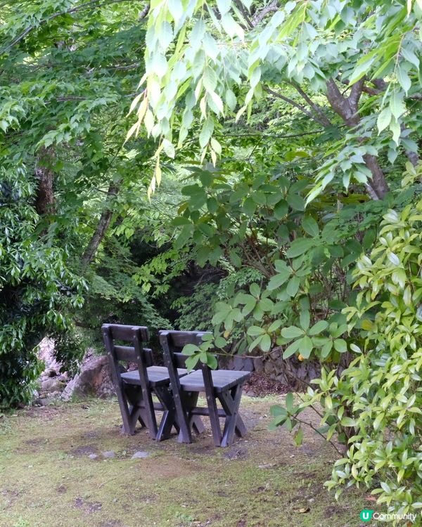 阿蘇火山自駕遊🚗💨