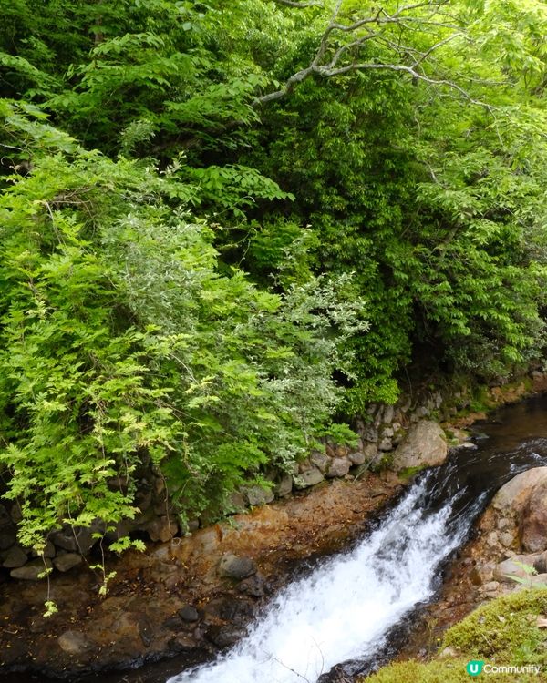阿蘇火山自駕遊🚗💨