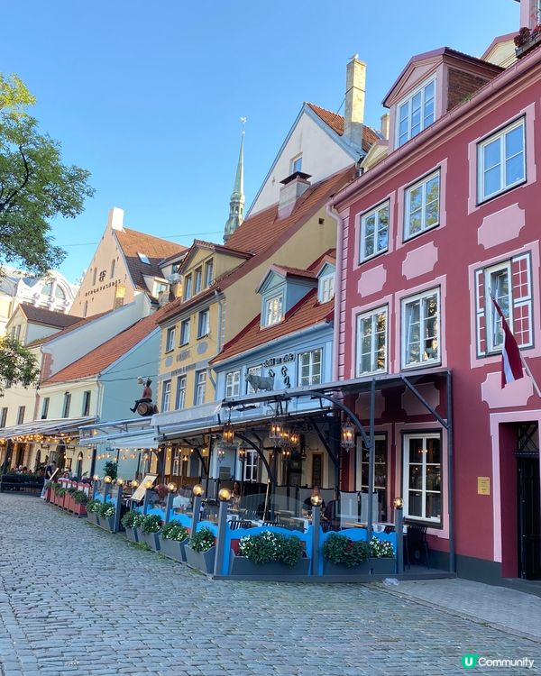 🌾🪻花花世界🌸🌻