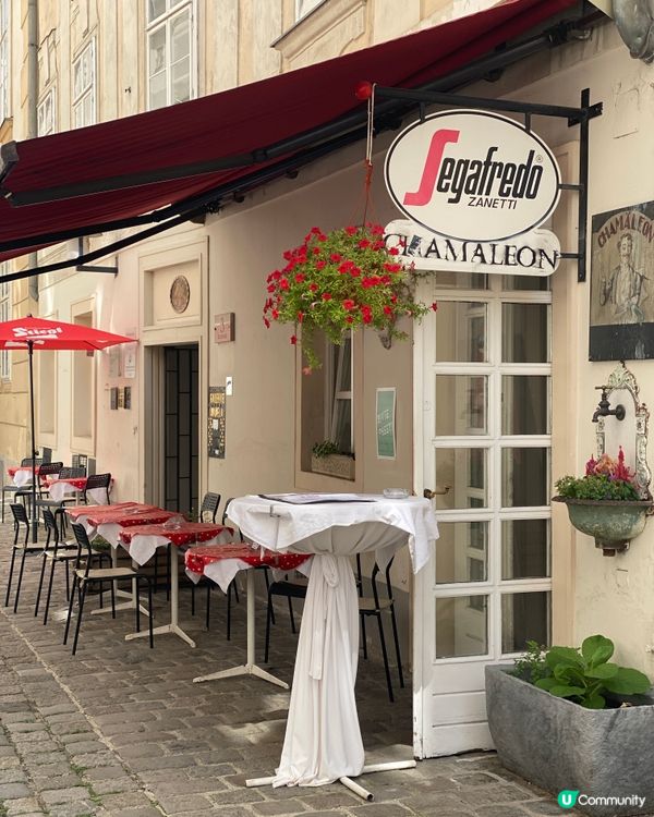 🛫 第一個咖啡文化都會 🇦🇹維也納Coffee Culture