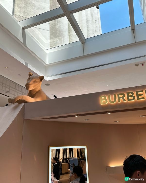 Burberry 新香氛登場 👃🏻✨