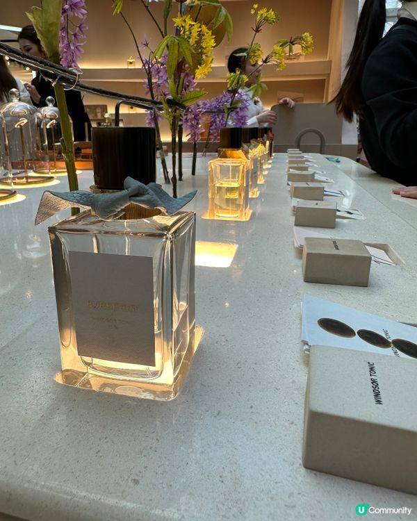 Burberry 新香氛登場 👃🏻✨