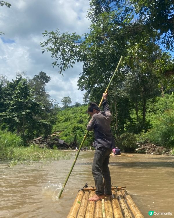 清邁大象體驗🐘💦  拒絕騎大笨象🚫