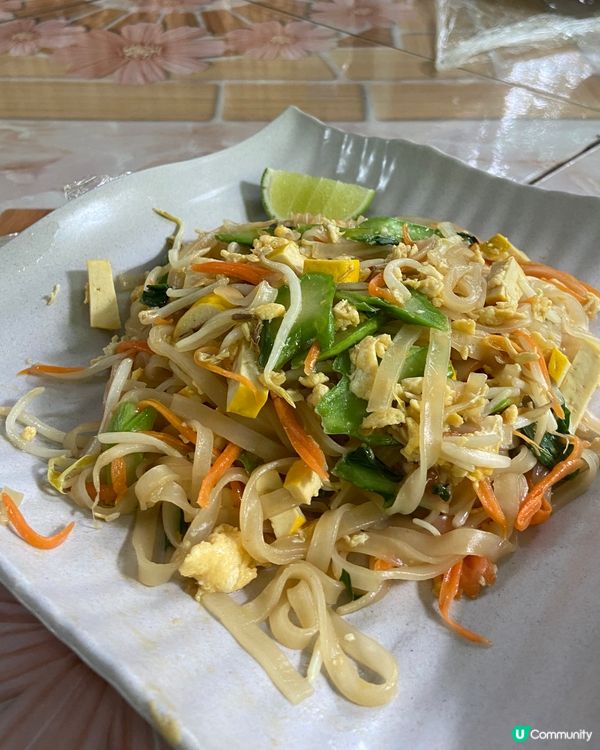 清邁大象體驗🐘💦  拒絕騎大笨象🚫