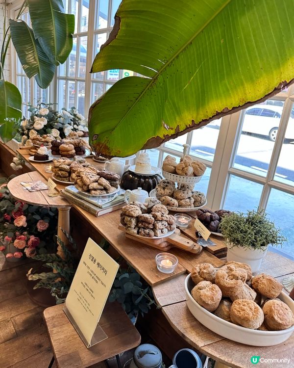 🇰🇷首爾純素餅乾專門店