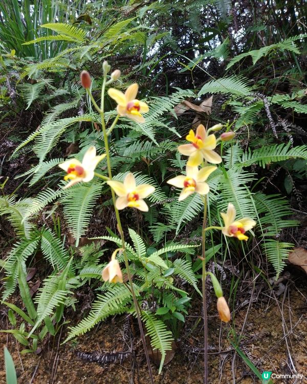 行過路過,記得看看