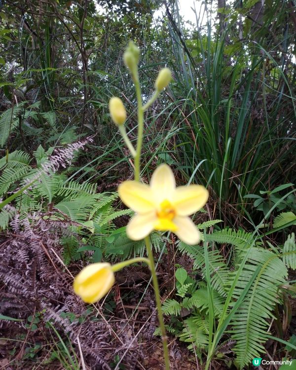 行過路過,記得看看