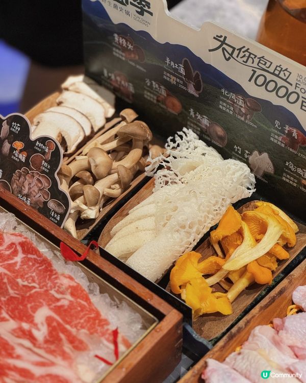 🇨🇳| 深圳-菌香四溢，鮮鍋誘惑 