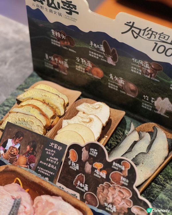 🇨🇳| 深圳-菌香四溢，鮮鍋誘惑 