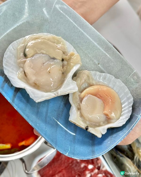 深圳海鮮粥底火鍋🍲  人均$87？！😱