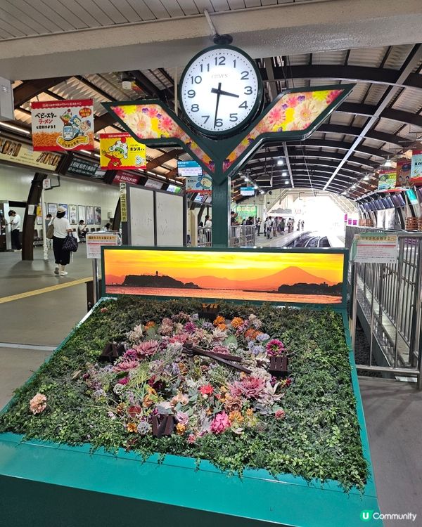 ## 鎌倉高校前打卡！🏀🌸  尋找灌籃高手回憶！