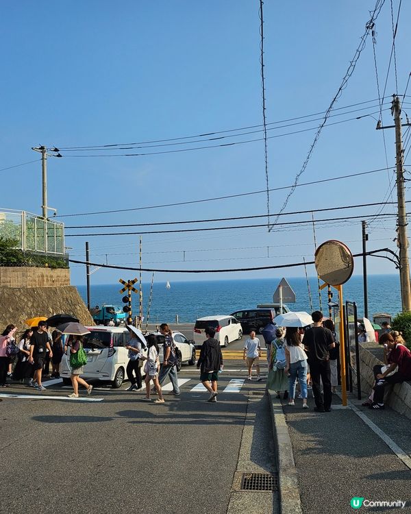 ## 鎌倉高校前打卡！🏀🌸  尋找灌籃高手回憶！