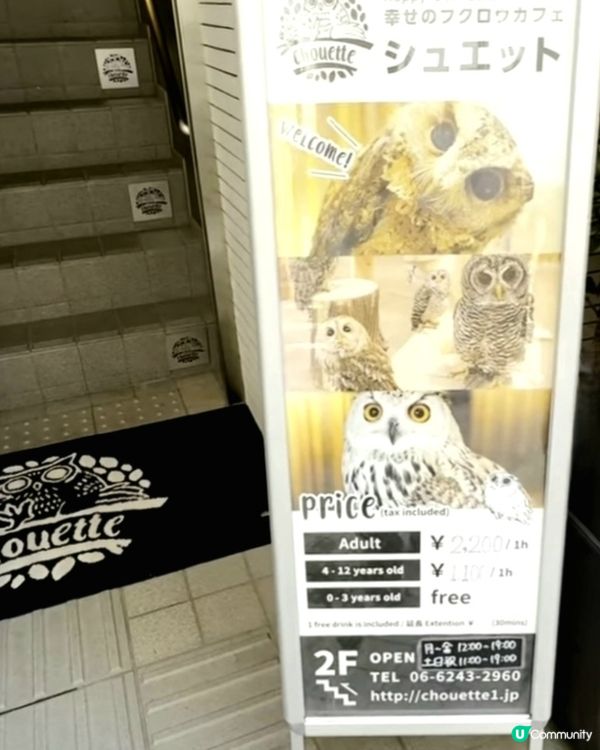 大阪可愛貓頭鷹Café🦉Owl Cafe Chouette