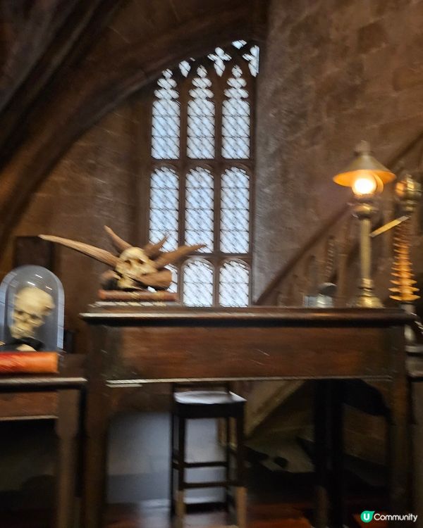 東京哈利波特影城⚡️  抵玩！