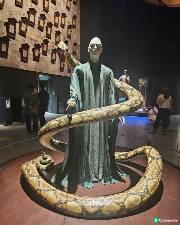 東京哈利波特影城⚡️  抵玩！