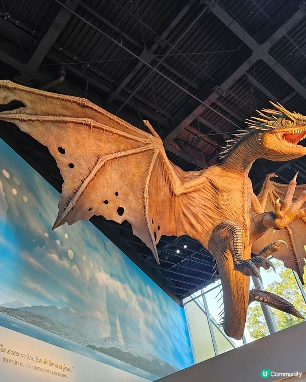 東京哈利波特影城⚡️  抵玩！