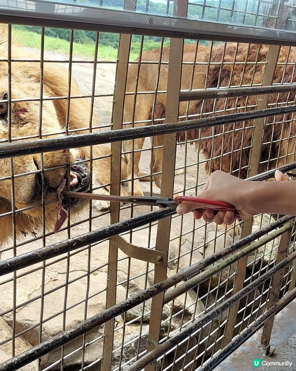 九州自然動物公園