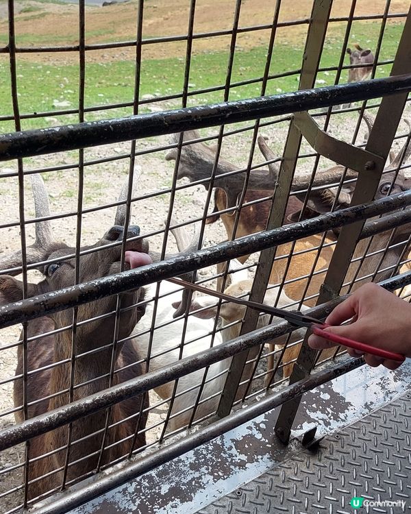 九州自然動物公園