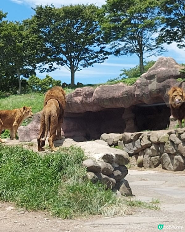 九州自然動物公園