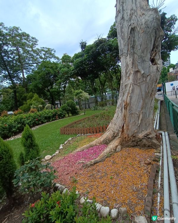 特別靚的公園🌳