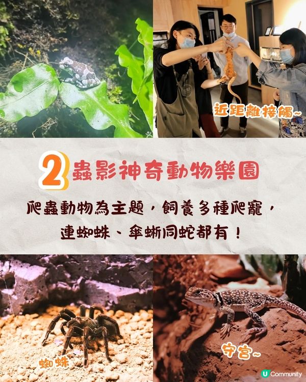 推薦深圳3間必去動物樂園🐾同梅花鹿/水豚/爬蟲近距離接觸🦌