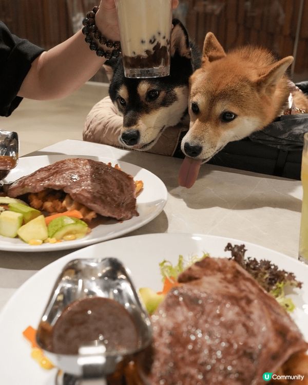 ??撐?腳去鋸扒(?▽?)