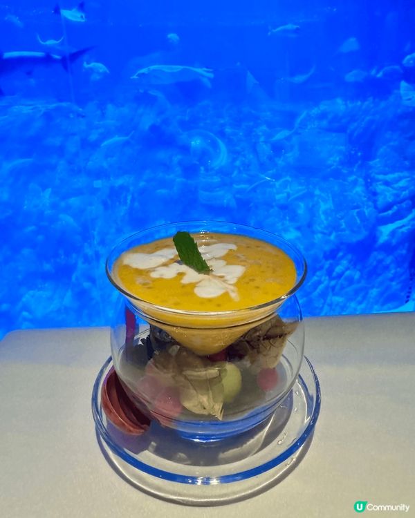 海洋公園海龍王餐廳，一邊享用美食，我邊水族館內欣賞美景，楊枝...