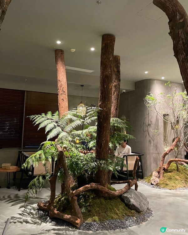 揼骨森林感，身心都舒服🌿😌