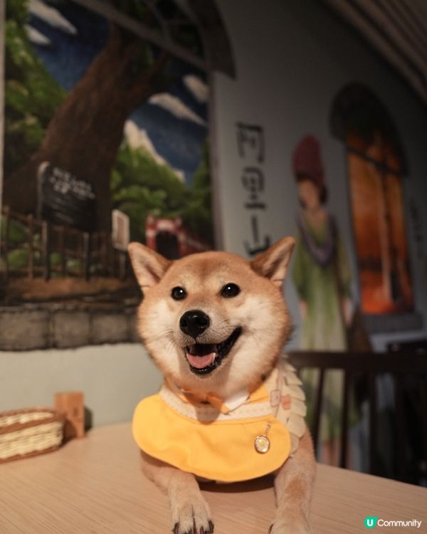 超有特色台灣壁畫