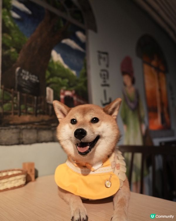 人氣台灣餐廳 台味濃