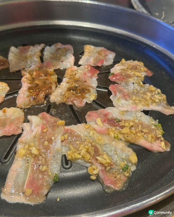 【去深圳找｢悟能八戒｣🐷!】