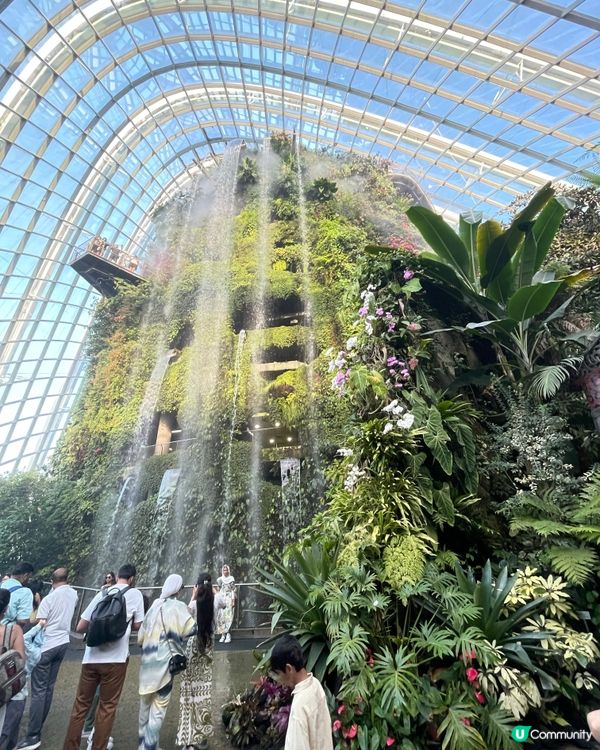 新加坡Gardens by the Bay 