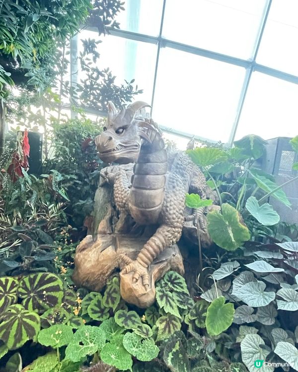 新加坡Gardens by the Bay 