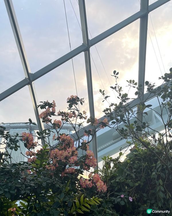 新加坡Gardens by the Bay 