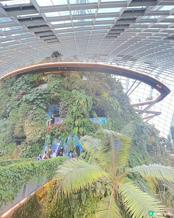 新加坡Gardens by the Bay 