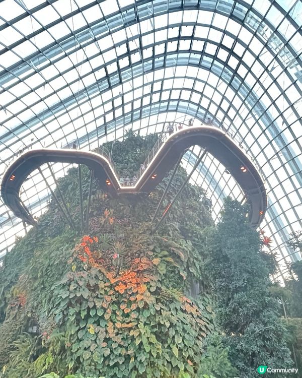 新加坡Gardens by the Bay 