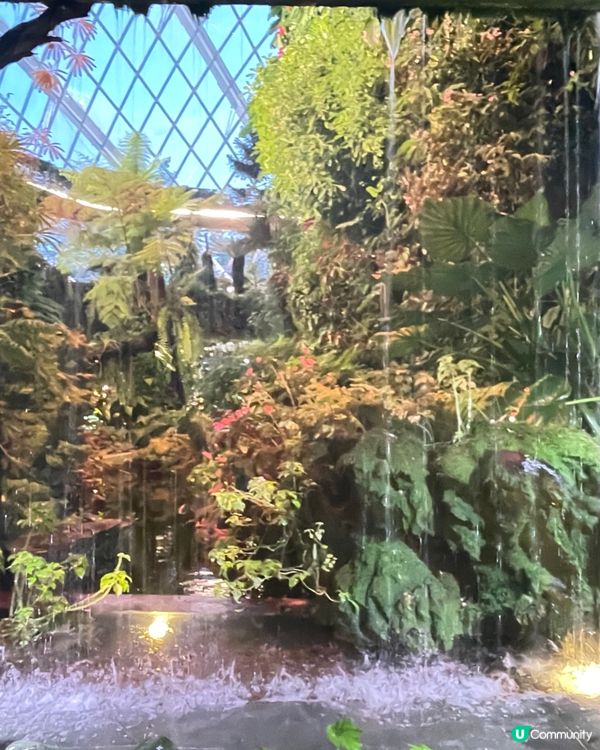 新加坡Gardens by the Bay 