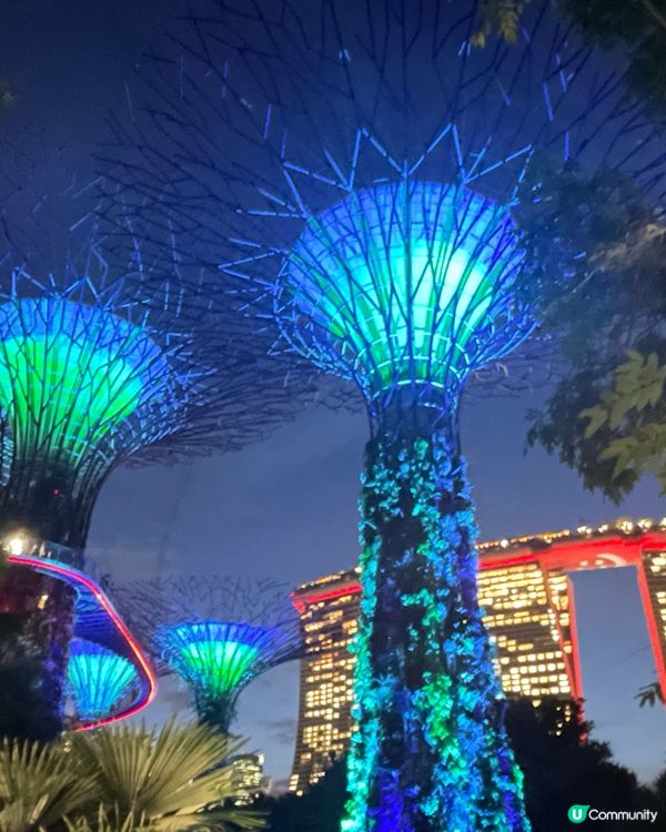 新加坡Gardens by the Bay 