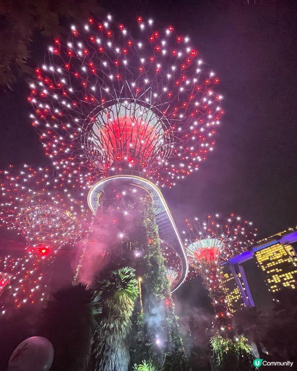 新加坡Gardens by the Bay 